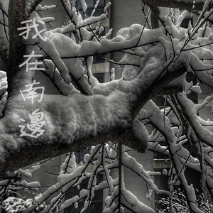 日本亚洲欧洲色
