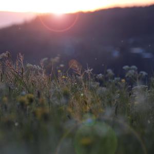 日本亚洲欧洲色
